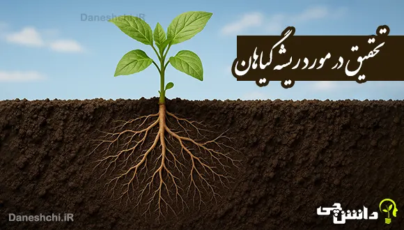 تحقیق درباره ریشه گیاهان (راست و افشان)
