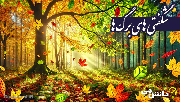 تحقیق درباره ی شگفتی های برگ ها