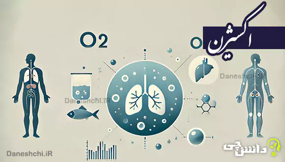 تحقیق درمورد اکسیژن ویژگی، کاربرد و ترکیبات آن