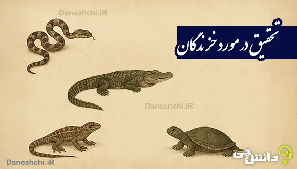 تحقیق درباره خزندگان