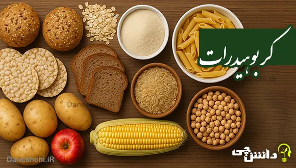 مختصر درمورد کربوهیدرات و گروه بندی آن