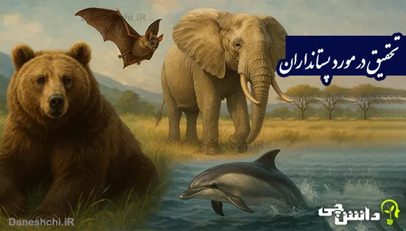 تحقیق مختصر در مورد پستانداران