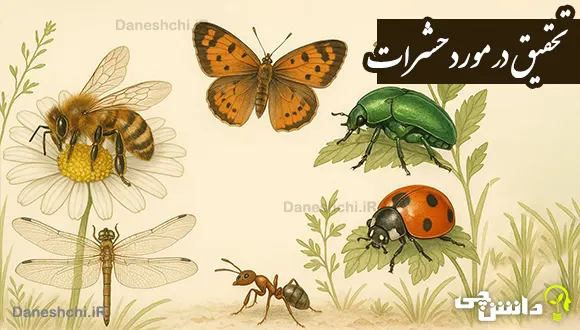 تحقیق درباره حشرات