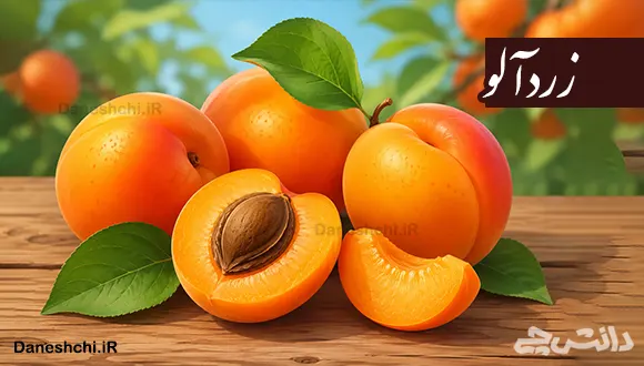 تحقیق در مورد میوه زردآلو، خواص و طبع آن