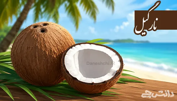 تحقیق در مورد میوه نارگیل، خواص و طبع آن
