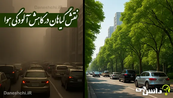 گیاهان چگونه به کم کردن آلودگی هوا کمک می کنند؟