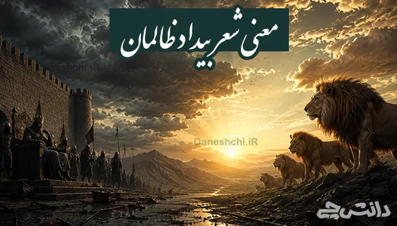 معنی شعر بیداد ظالمان (سیف فرغانی)