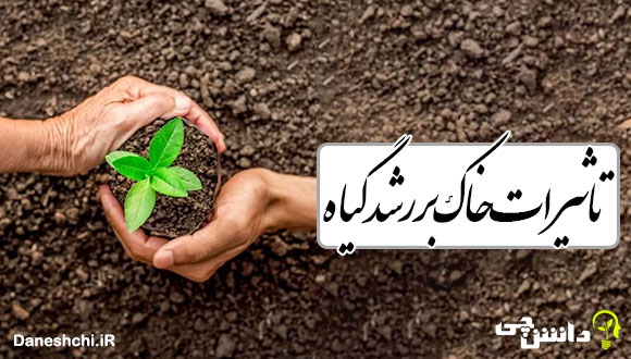 تاثیرات خاک بر رشد گیاه