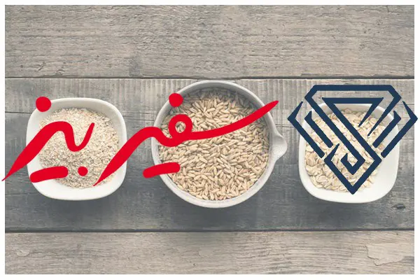 درمان اختلالات گوارشی با سبوس چند غله بین استار دکتر بیز