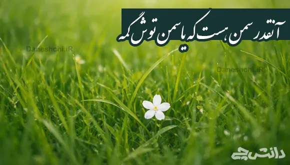 آنقدر سمن هست که یاسمن توش گمه