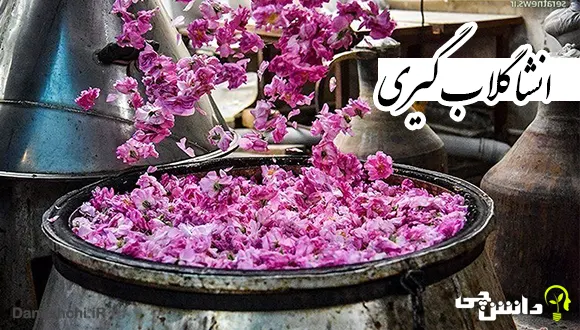 انشا در مورد گلاب گیری