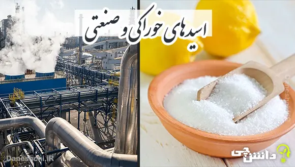 تحقیق در مورد اسیدهای خوراکی و صنعتی