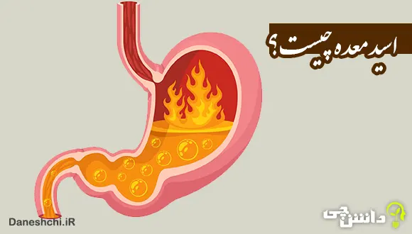 تحقیق در مورد اسید معده و قدرت آن