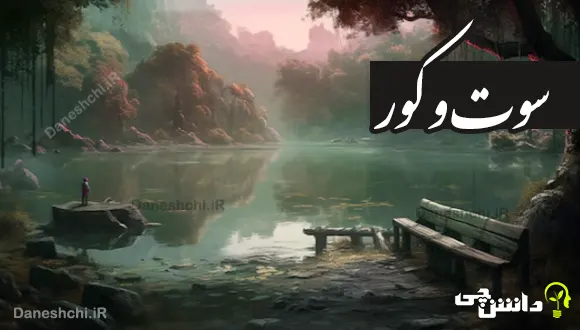 سوت و کور