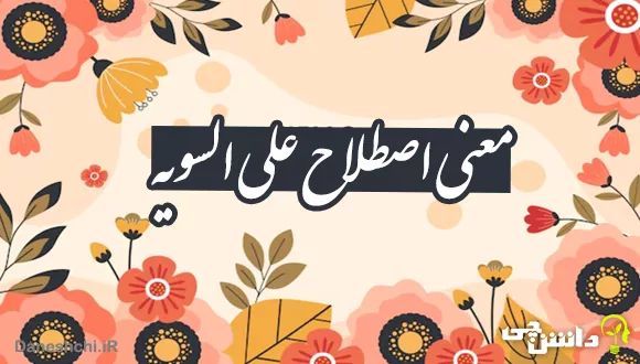 اصطلاح علی السویه