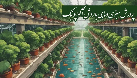 پرورش سبزی و ماهی با روش آکواپونیک