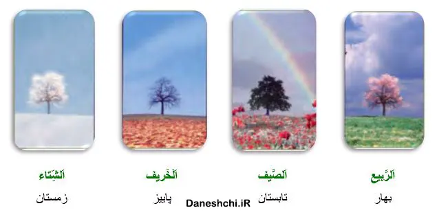 عربی 8 درس 1 تمرین 8