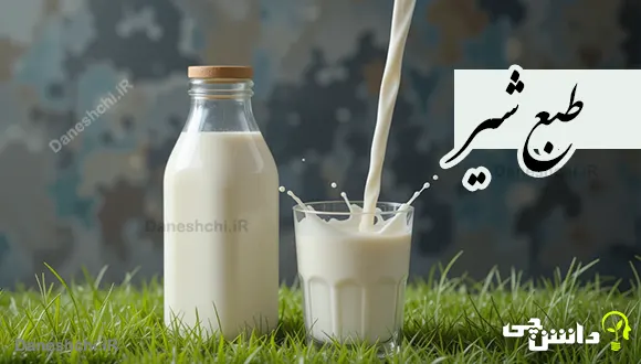 چگونه طبع شیر را گرم کنیم؟ | طب سنتی