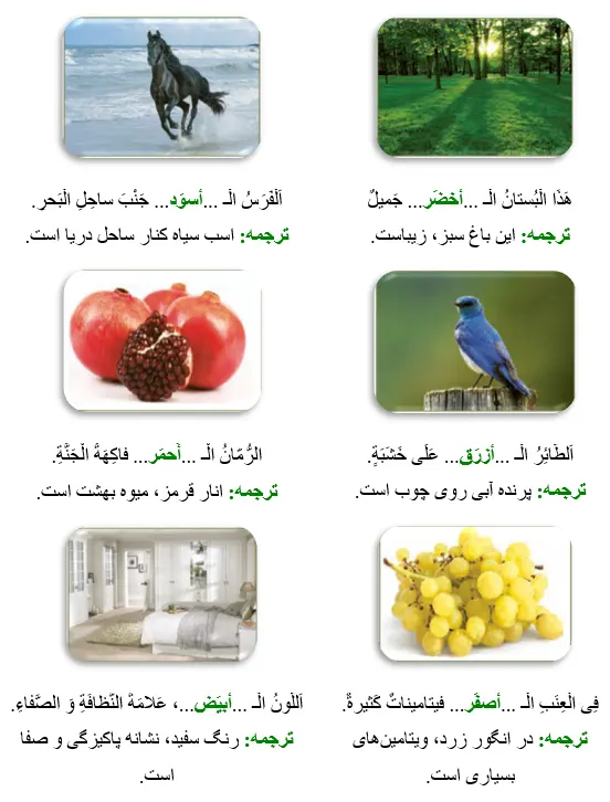 جواب تمرین صفحه 118 عربی نهم 