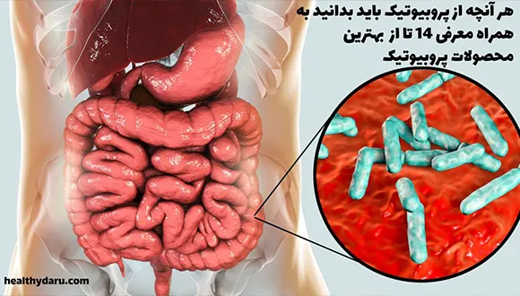 مکمل پروبیوتیک