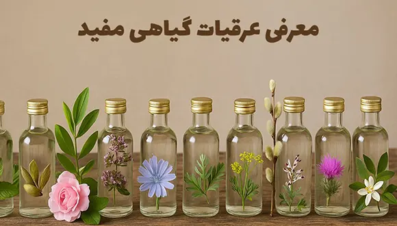 معرفی 10 عرق گیاهی پرمصرف و مفید