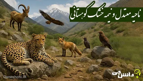 ناحیه معتدل و نیمهخشک کوهستانی