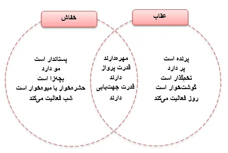 جواب فعالیت صفحه 124 علوم سوم