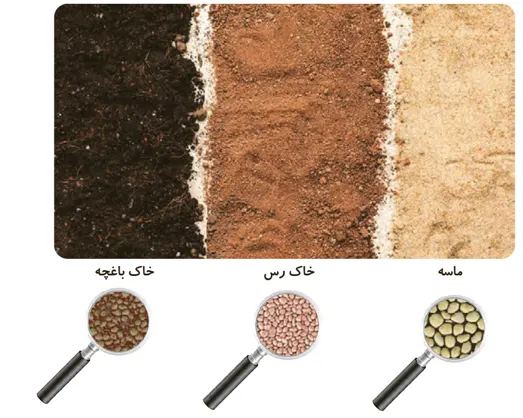 جواب مقایسه صفحه 55 علوم سوم