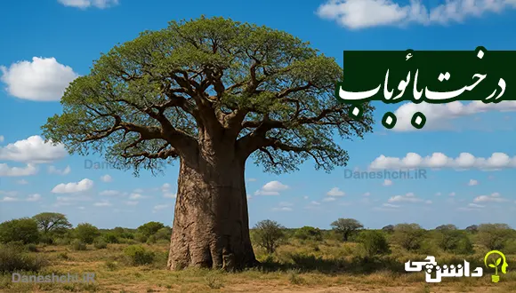 تحقیق در مورد درخت بائوباب