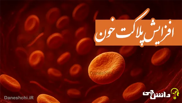 11 ماده غذایی برای افزایش پلاکت خون