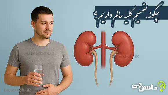 چگونه بفهمیم کلیه سالم داریم؟
