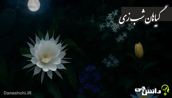 تحقیق در مورد گیاهان شب زی