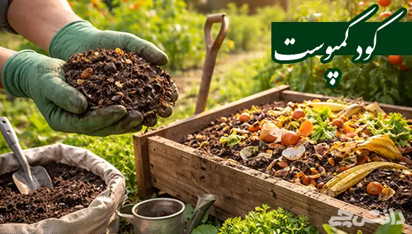 کود کمپوست چیست و چه کاربردی دارد؟