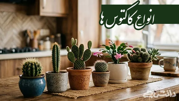 تحقیق در مورد انواع کاکتوس ها