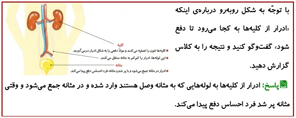 جواب گفتوگو کنید صفحه 91 درس دهم علوم چهارم
