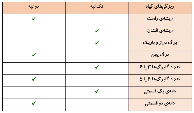 جواب فعالیت صفحه 105 درس 12 علوم چهارم