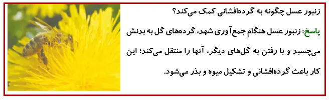 جواب فکر کنید صفحه 107 درس 12 علوم چهارم
