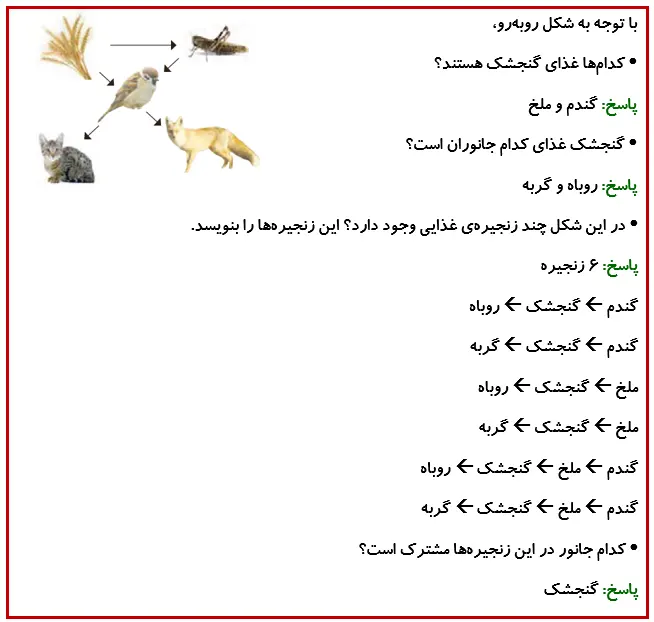 جواب فعالیت صفحه 115 درس 13 علوم چهارم