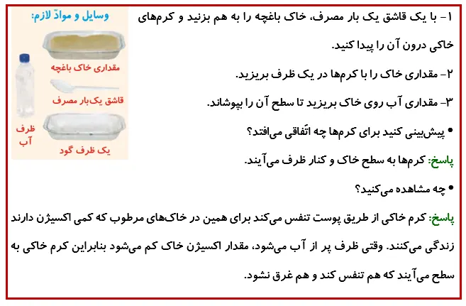 جواب فعالیت صفحه 116 درس 13 علوم چهارم