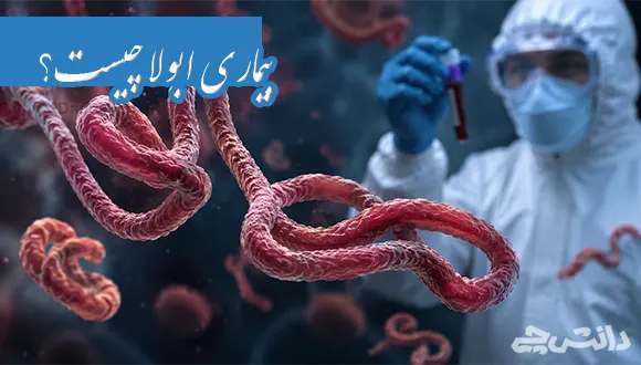 بیماری ابولا چیست؟ علائم و درمان آن
