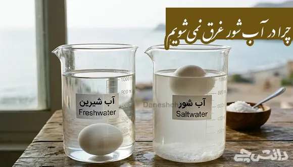 چرا در آب شور غرق نمی شویم؟