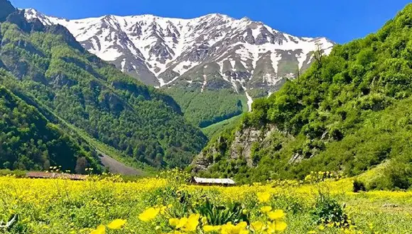 اجاره ویلا دریاسر - جاجیگا