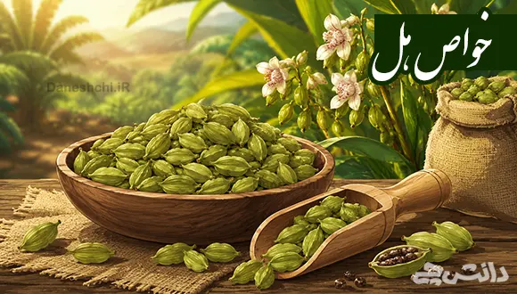 تحقیق در مورد هل و خواص آن