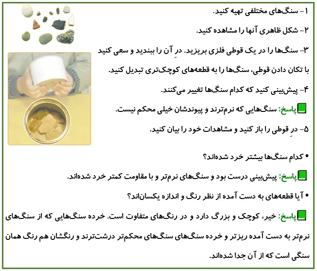 جواب فعالیت صفحه 80 علوم پنجم