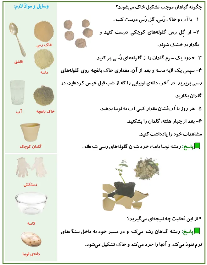 جواب کاوشگری صفحه 81 علوم پنجم