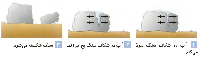 جواب گفتوگو صفحه 83 علوم پنجم