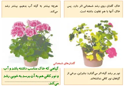 جواب سؤال صفحه 90 علوم پنجم