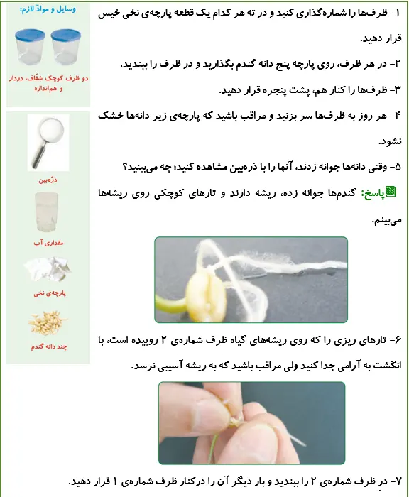 جواب کاوشگری صفحه 100 علوم پنجم