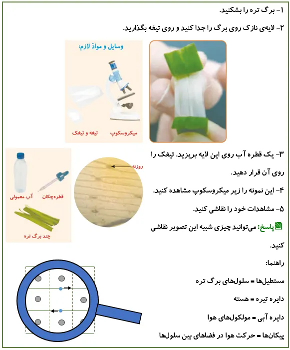 جواب فعالیت صفحه 103 علوم پنجم