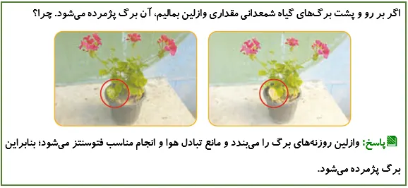 جواب فکر کنید صفحه 104 علوم پنجم